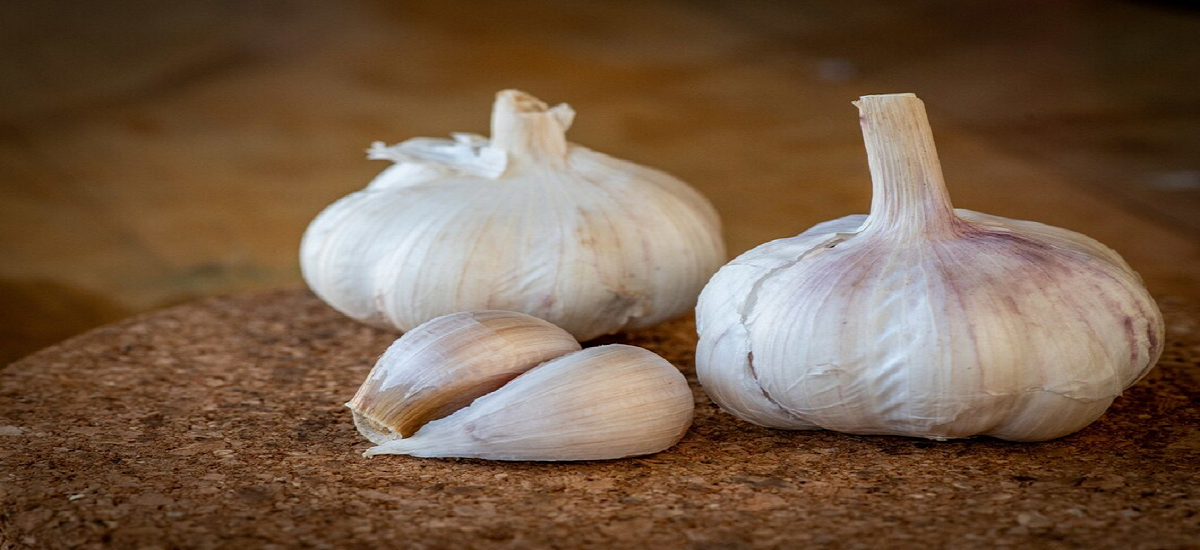 Top 11 Benefits of Garlic for Men Sexually
