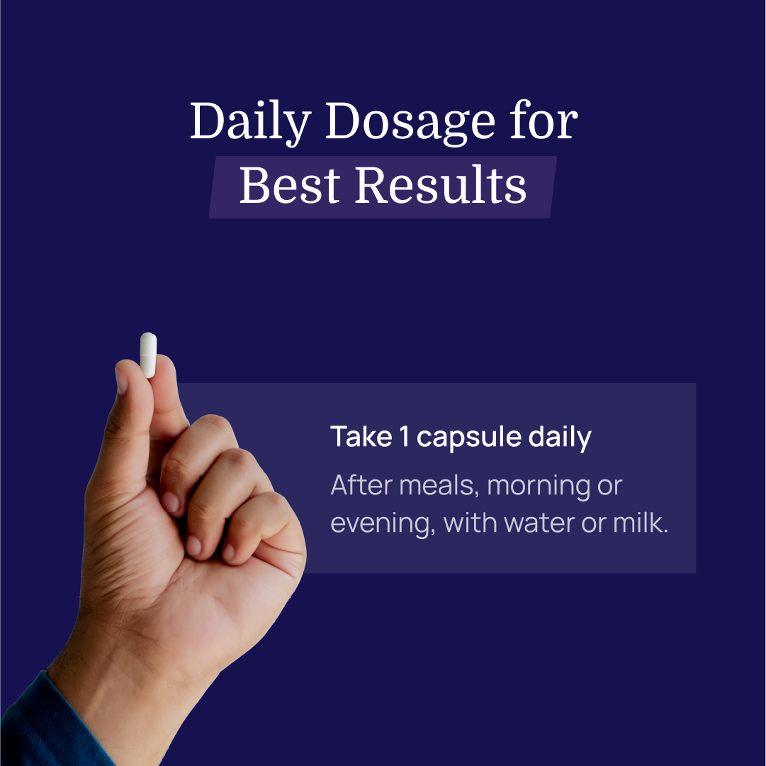 X-Drive - Safed Musli, Shilajit & Ashwagandha for Performance