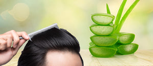 Aloe Vera for Hair: Benefits, How to Use