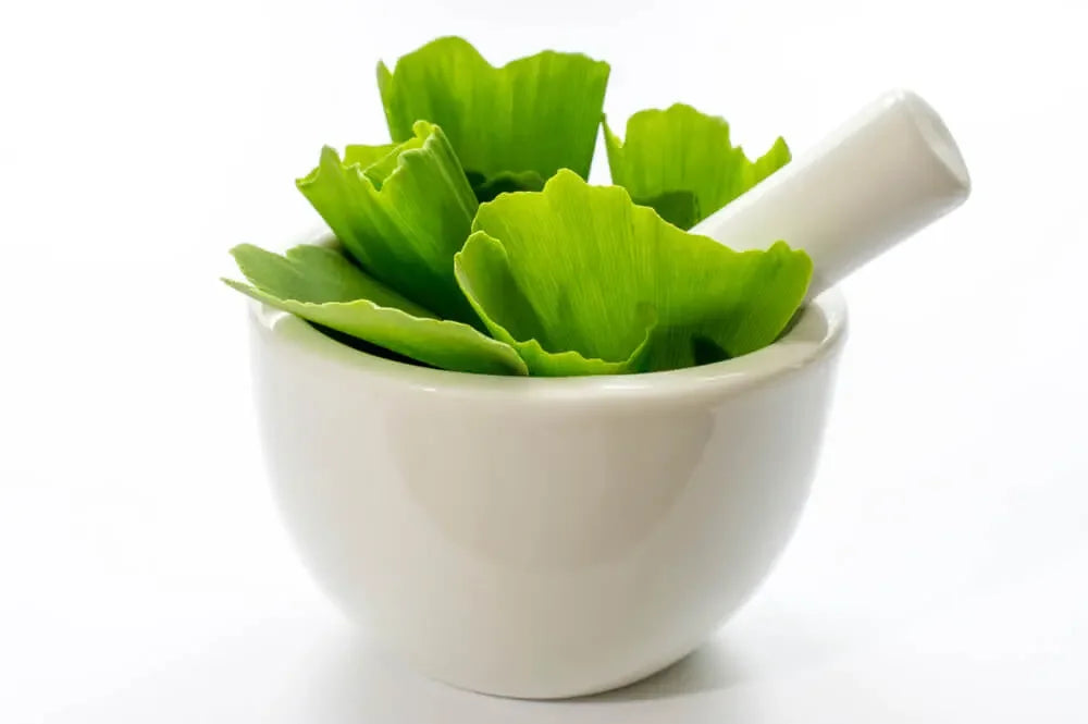 Ginkgo-biloba-benefits-for-men