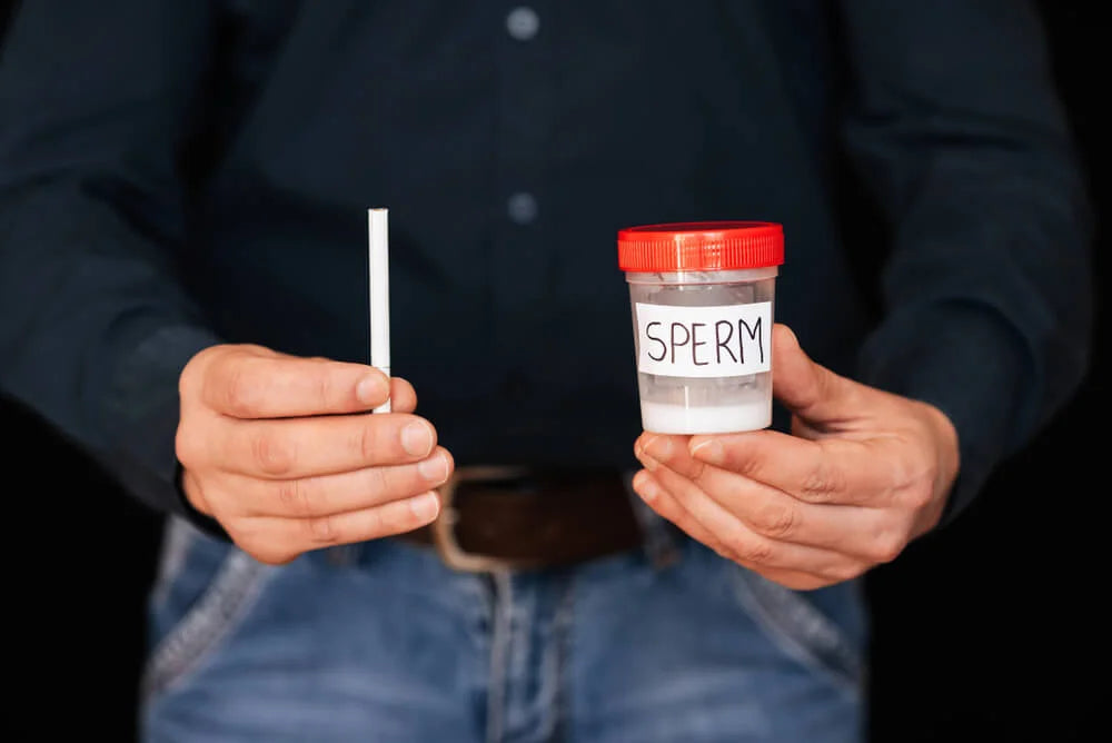 Does Smoking Affect Male Fertility and Reduce Sperm Count and Quality?