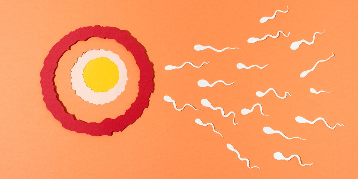 Sperm Leakage? How to Confirm Whether Sperm Went Inside?