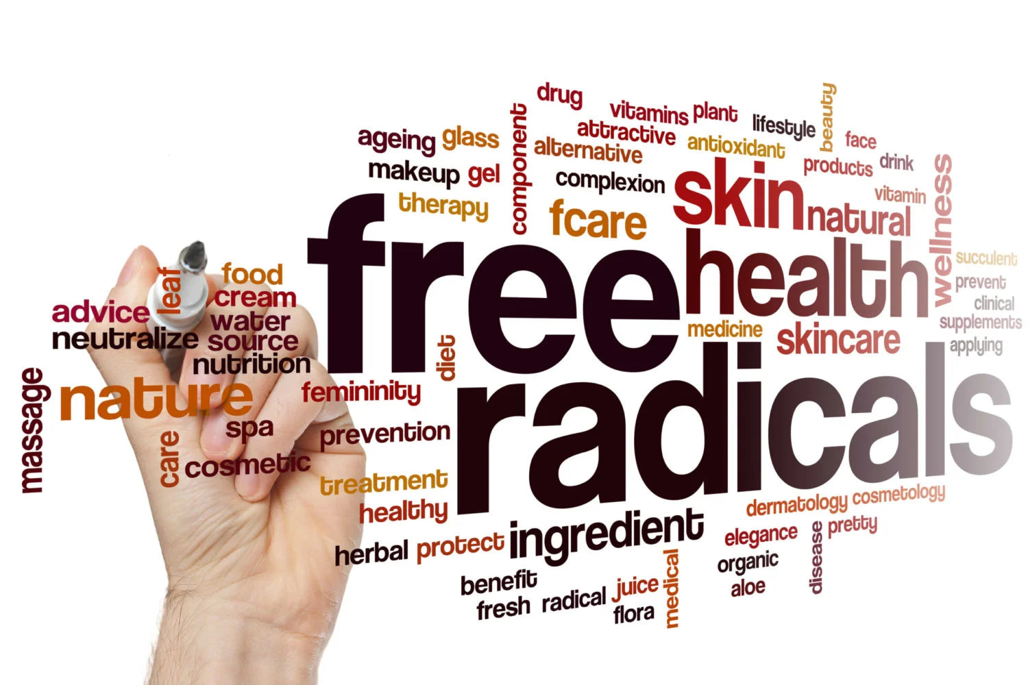 What Are Free Radicals & How Do They Damage the Body?