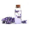 Lavender (Lavandula) Oil