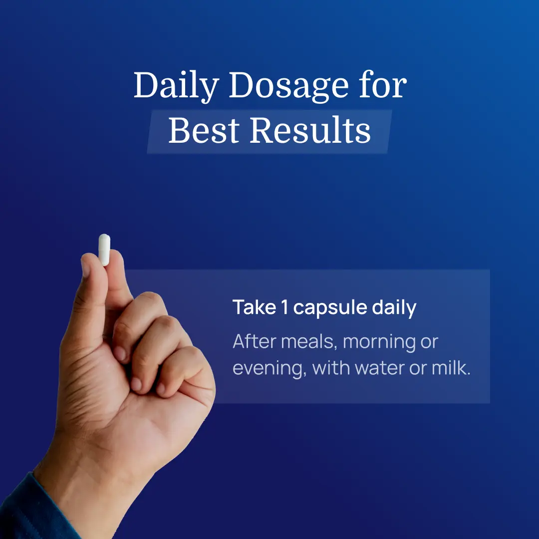 FertiQ – Male Fertility Support Supplement