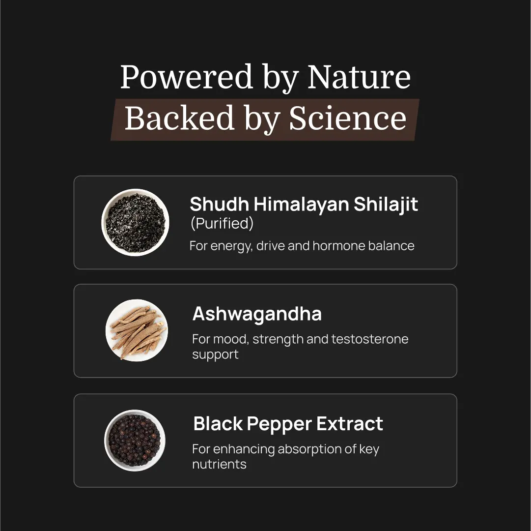 Shudh Himalayan Shilajit & Ashwagandha – Vitality, Mood & Energy Capsules for Men