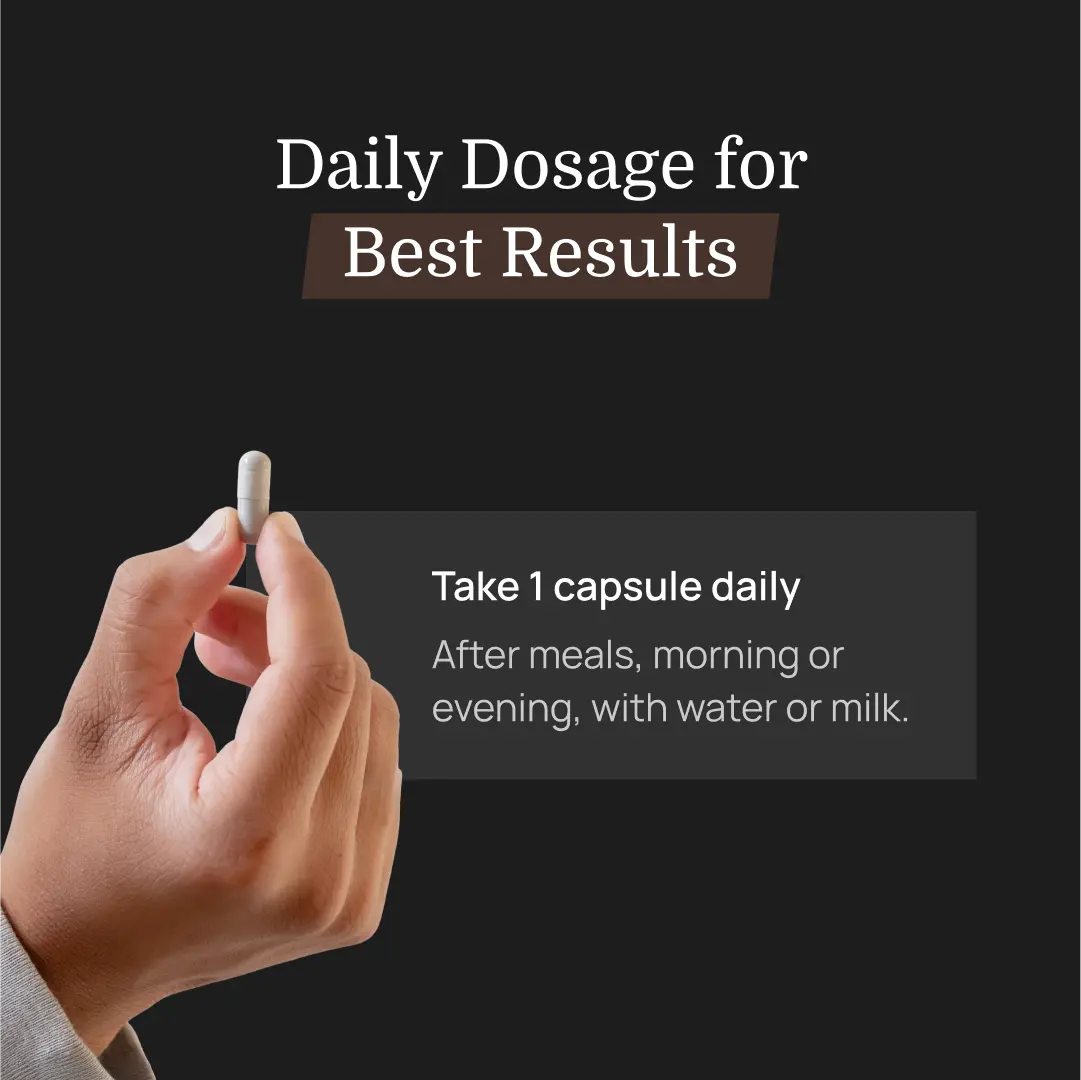 Shudh Himalayan Shilajit & Ashwagandha – Vitality, Mood & Energy Capsules for Men